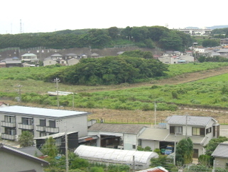 現在の波島